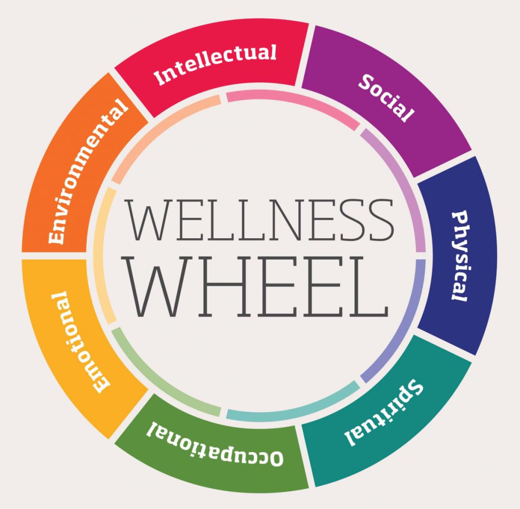 Creating A Wellness Plan How Good Can You Feel Jamie Hanley 